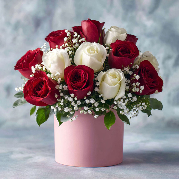 「熾雪之吻」— 紅白玫瑰的傾城詩篇​