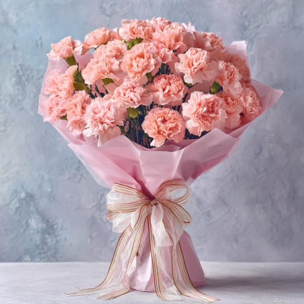 無聲的敬畏 — 被溫柔歲月輕撫的康乃馨摯愛