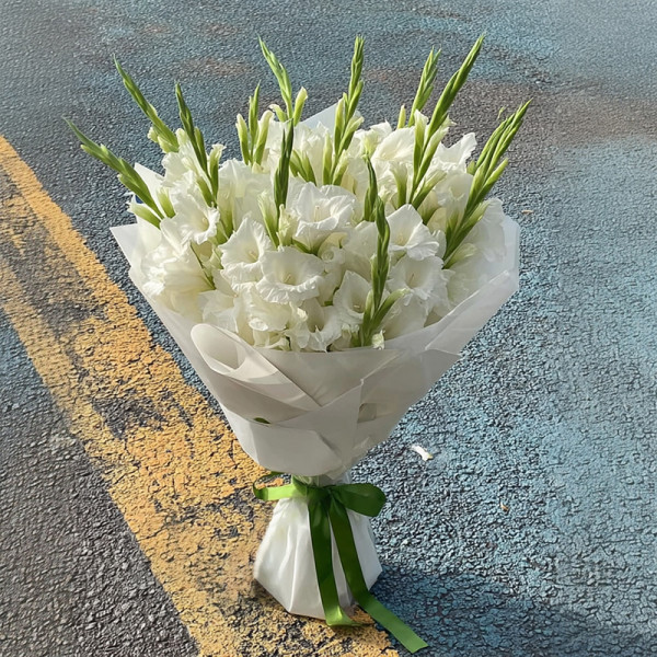 靜謐月光——白色劍蘭之夢